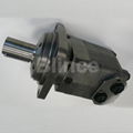 OMV Hydraulic Motor 1