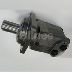 OMV Hydraulic Motor