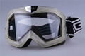 Ski Goggles 1