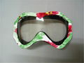 Ski Goggles 4