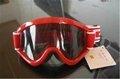 Ski Goggles 2
