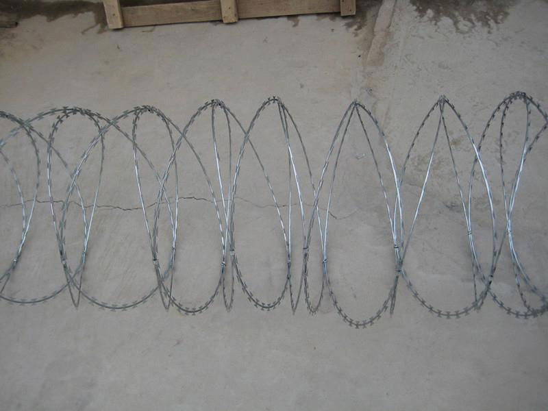 galvanized razor wire 3