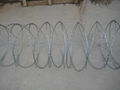 galvanized razor wire 3