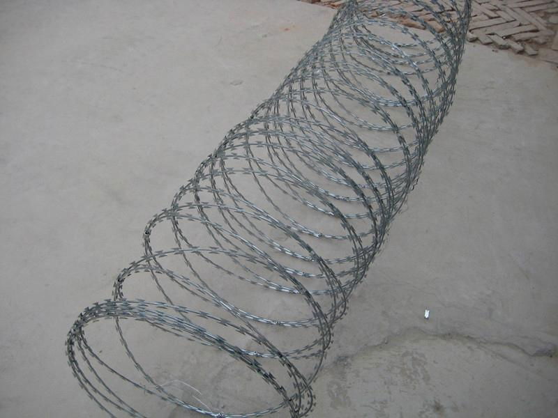 galvanized razor wire 2