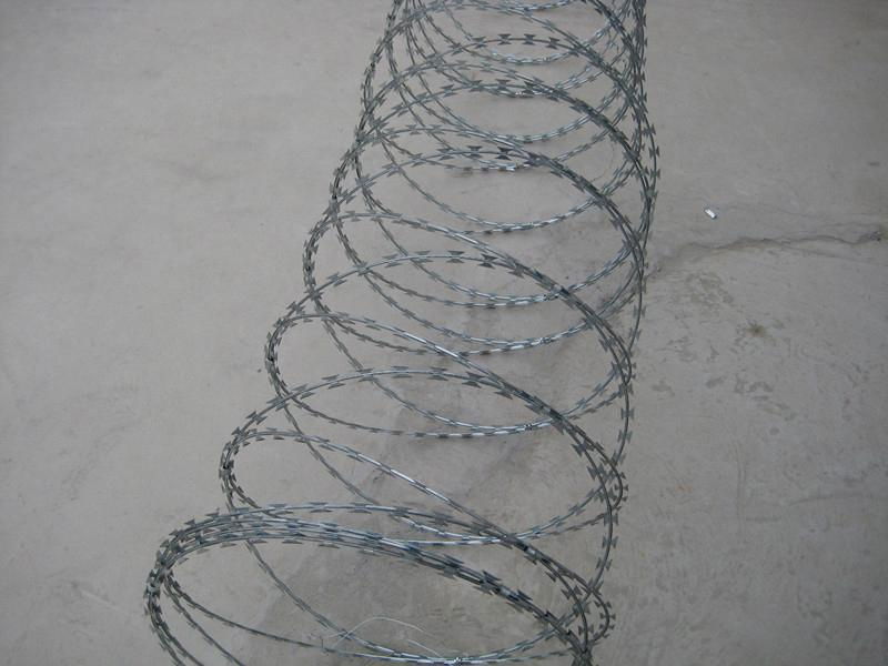 galvanized razor wire