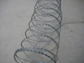 galvanized razor wire 1