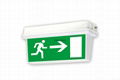 Emergency saving lighting 4