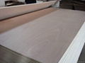 Okoume plywood