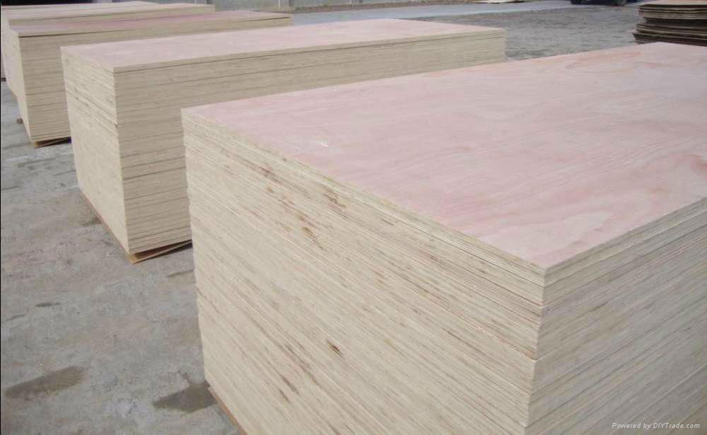 Okoume plywood 3