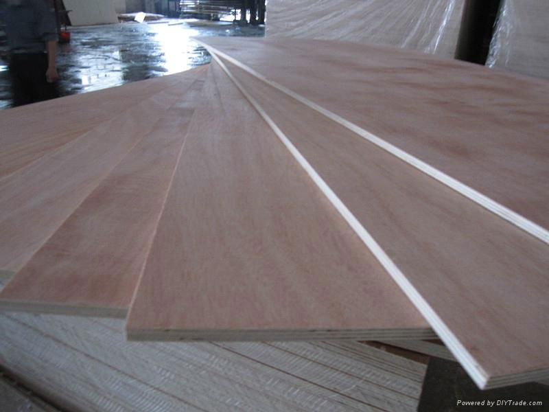 Okoume plywood 4