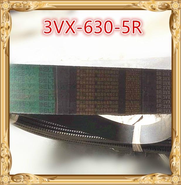 3VX 5VX Cogged Banded V-belt from China Manufacturer 2