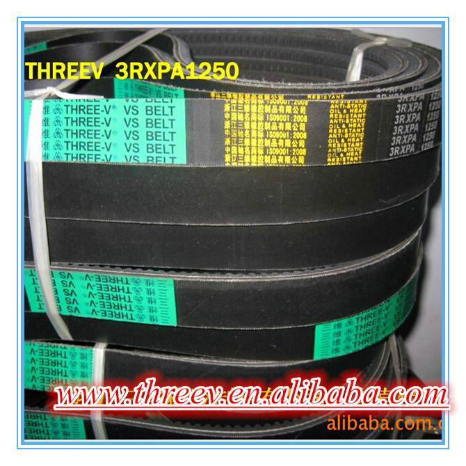 3VX 5VX Cogged Banded V-belt from China Manufacturer 4