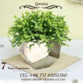 Indoor polishing garden football flowerpots 3