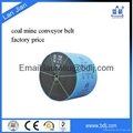 Made in China ep conveyor belt for metal detector 2