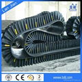 International Standard Large Capacity Rubber Sidewall Conveyor Belts for Power S 2