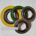 spiral wound gasket 1