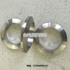 Lense ring/gasket ring