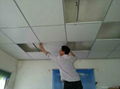 Fireproof ceiling boards 2