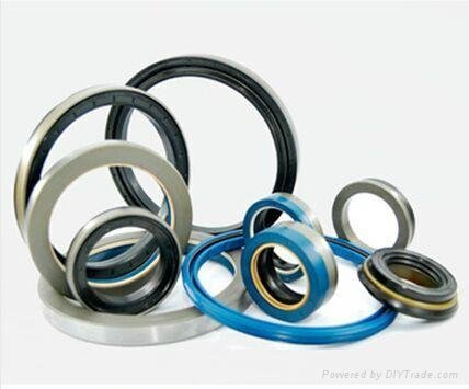 2015 High quality 10*17*4 tc oil seal with low price for hot sale 2