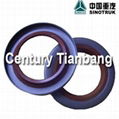  Sinotruk Howo Transmission Part 734310110  Oil Seal 