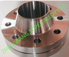 SS904L Flanges