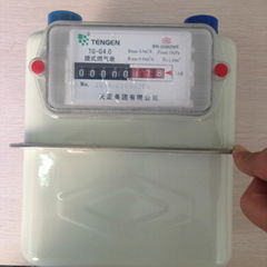 TG-G1.6/2.5/4.0 Outdoor Diaphragm Gas Meter