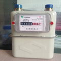 TG-G1.6/2.5/4.0 Outdoor Diaphragm Gas Meter