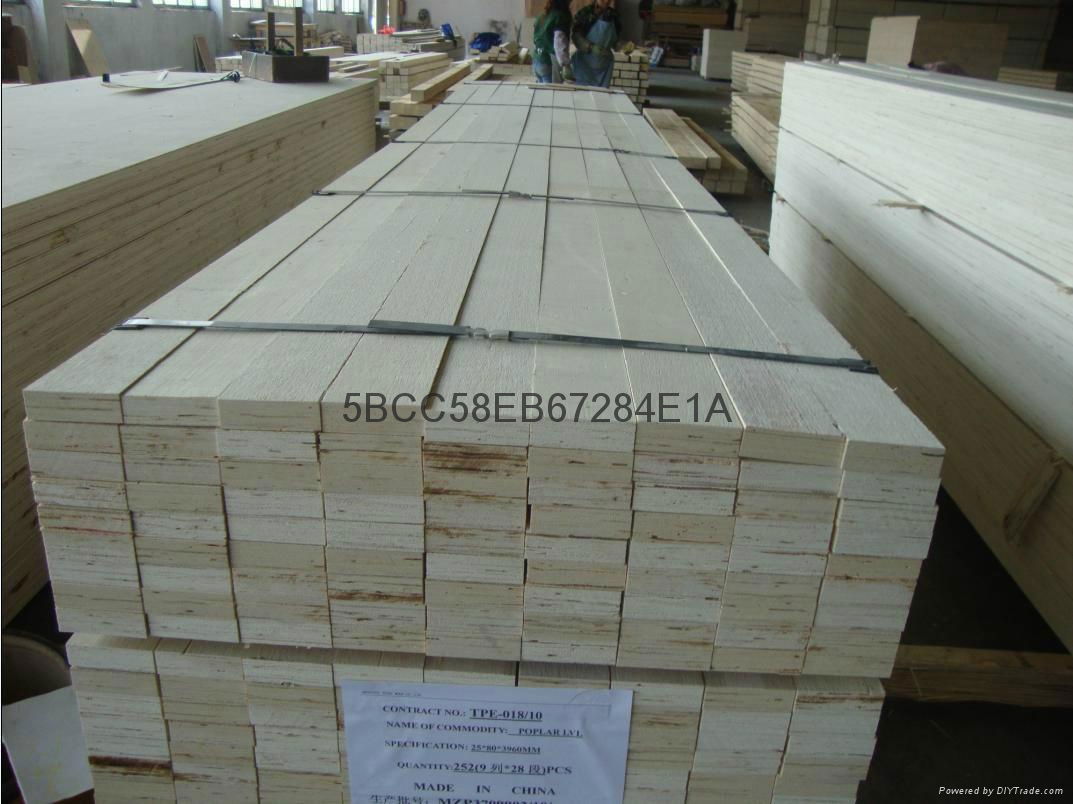 2016 Best price POPLAR LVL Timber 5