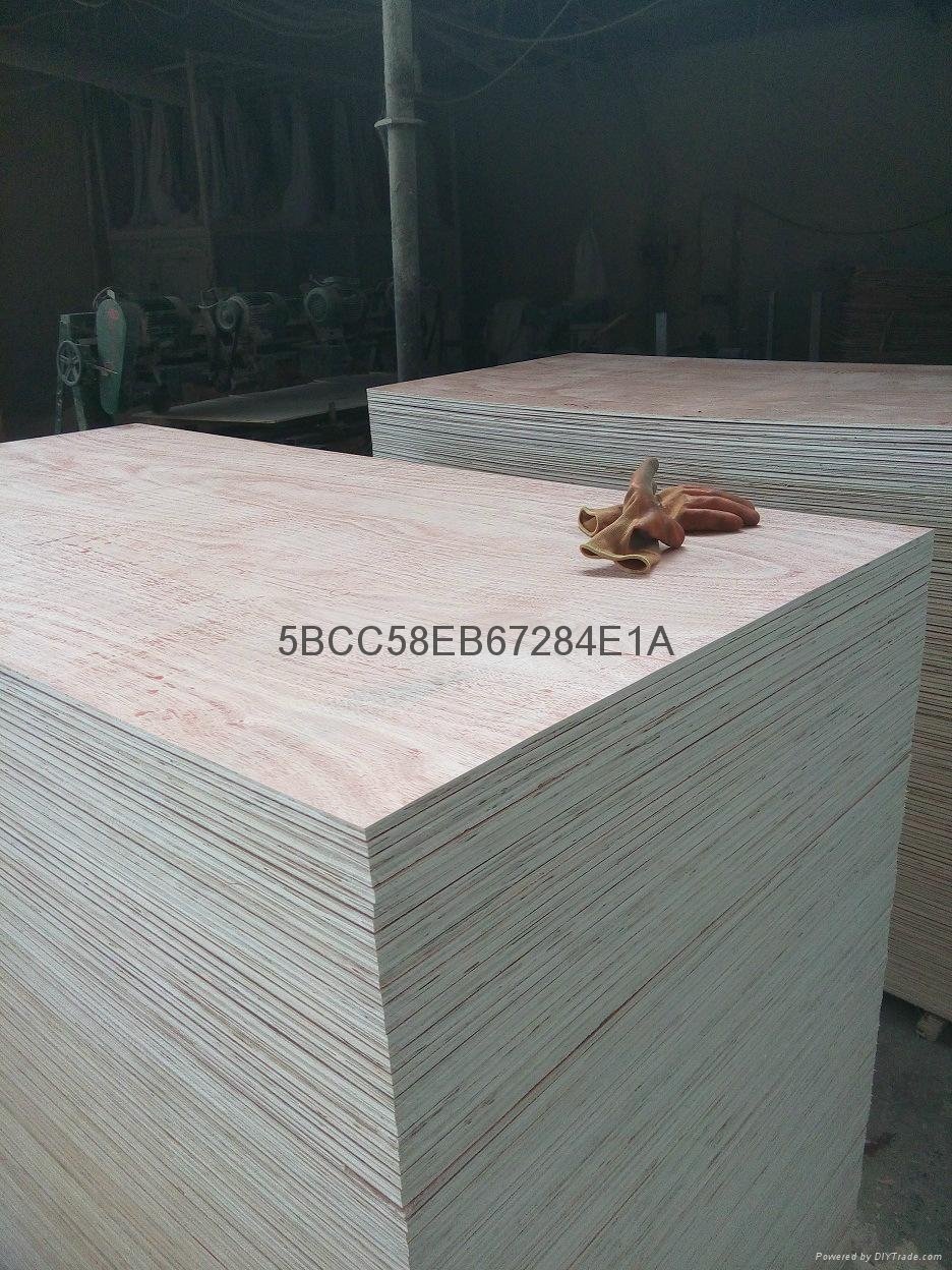 veneer plywood 2