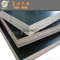 18mm film faced plywood  manufacture 1