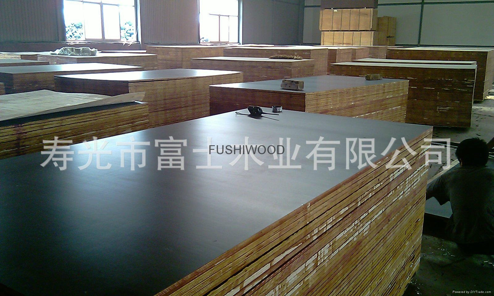 18mm film faced plywood  manufacture 2