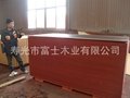 18mm film faced plywood  manufacture 4