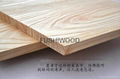 傢具用智利進口松木集成材直拼板指接板