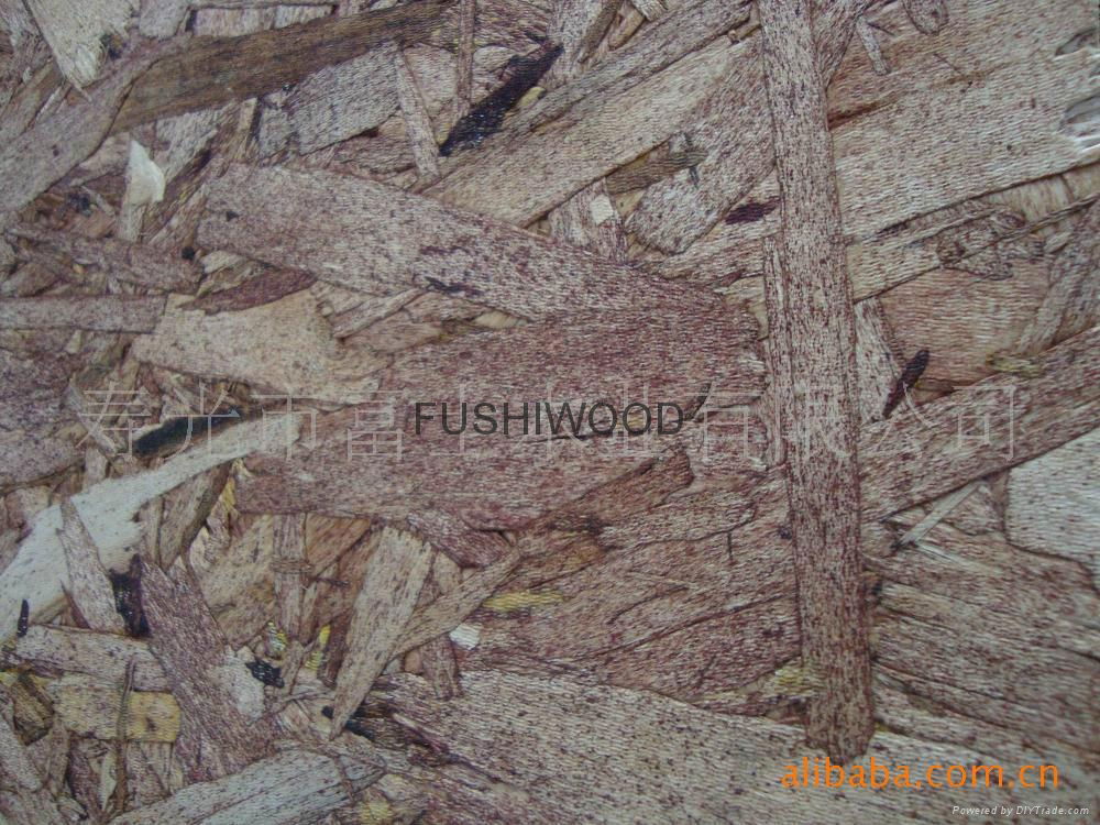 OSB board/oriented strand board 3