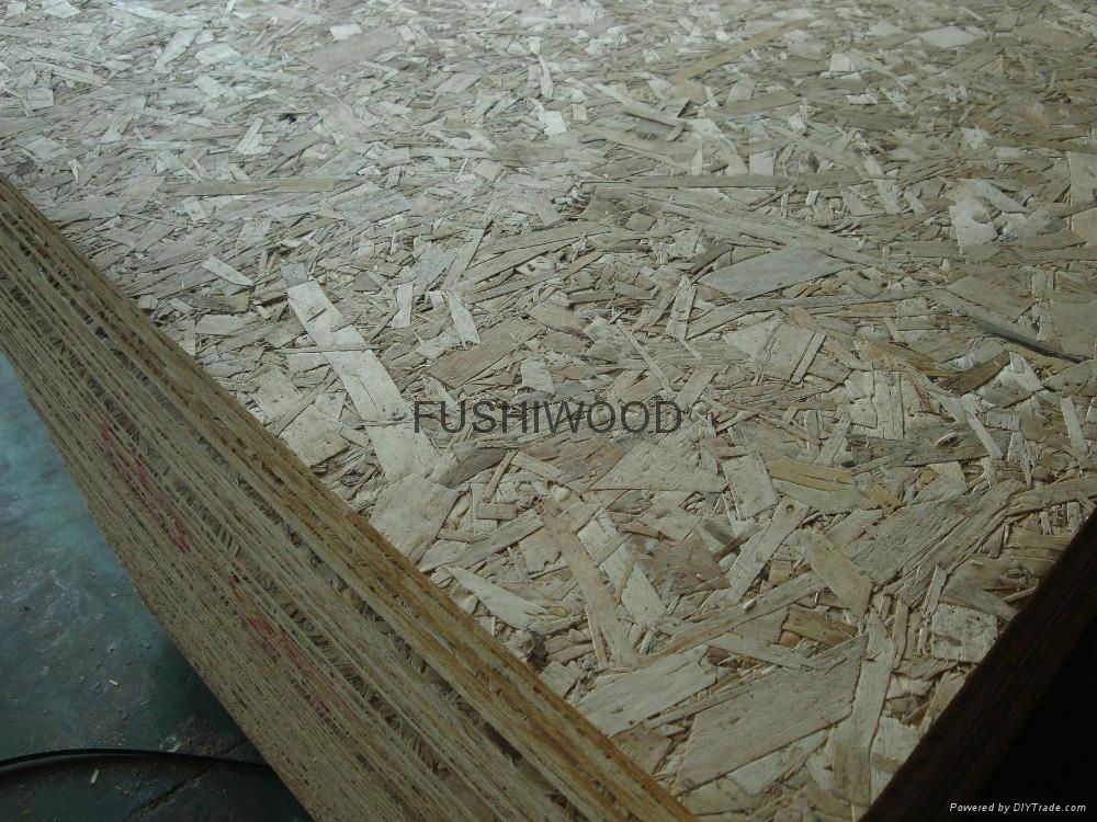 OSB board/oriented strand board 5