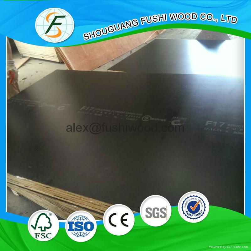 Brown Film Faced Plywood Constructon Formork  4