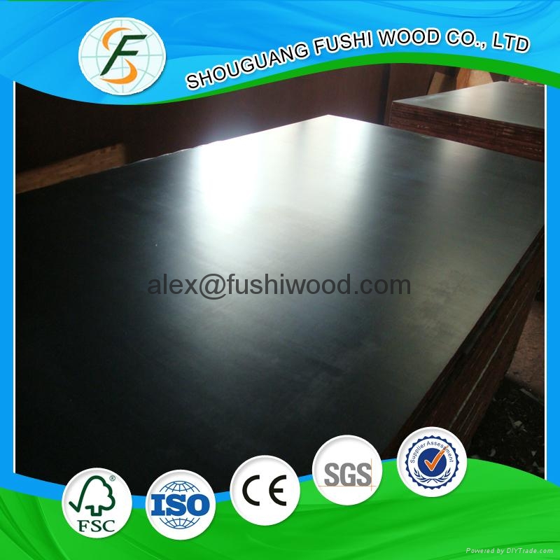 Brown Film Faced Plywood Constructon Formork  5