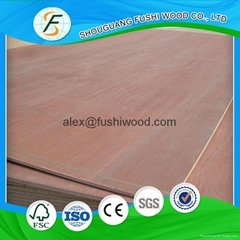 Furniture grade plywood BB/CC commercial plywood
