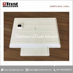 UTrust Mould SMC electric automobile battery cover mould