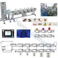 Fish weight sorter machine  1