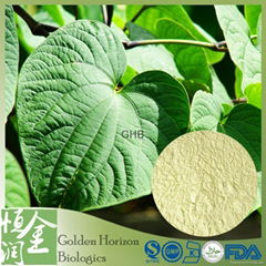  Hot Seller GMP Certified Kava Powder Extract 