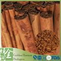 GMP Factory Certified Cinnamon Stick