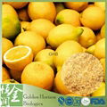  Hot Selling GMP Factory Standard Fresh Lemon Extract 