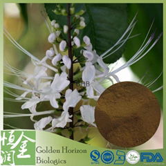 Superb Top Notch GMP Organic Java Tea Extract