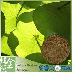 GMP Organic Lotus Leaf Extract 