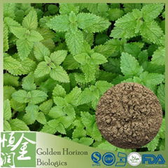 Superb Haematococus Melissa Lemon Balm