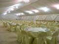 wedding party tent 5