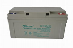 合資品牌OKYAMI鉛酸蓄電池 12OKM65 12V65AH