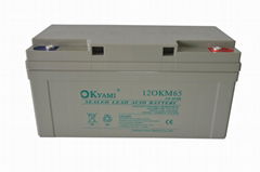合资品牌OKYAMI铅酸蓄电池 12OKM65 12V65A
