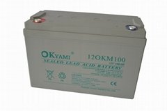 合資品牌OKYAMI 免維護鉛酸蓄電池 12OKM100 (12V100AH)